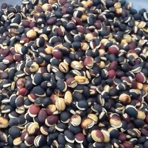 Dry Sim Bichi (BEAN SEEDS)